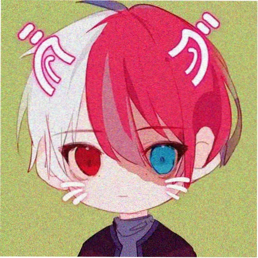 宋佳
